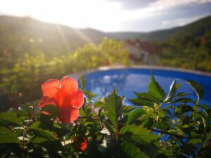 Vila ceh_bazen