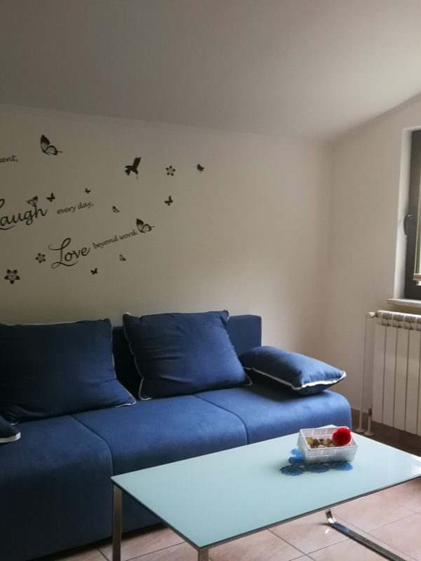 House Čeh